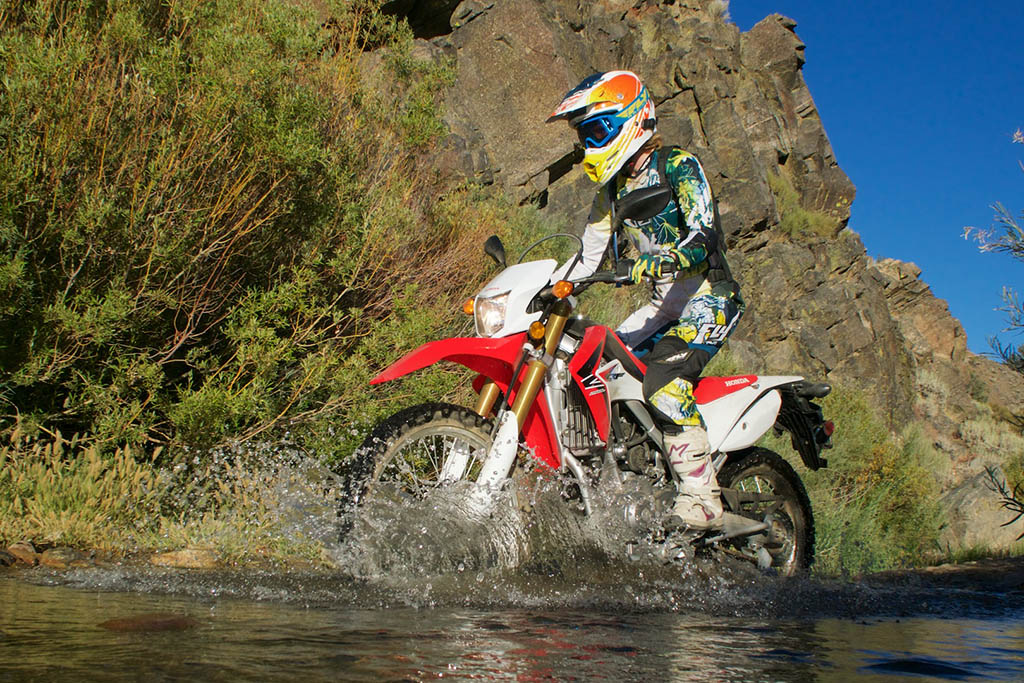 https://www.pedal.ir/wp-content/uploads/2019/02/Honda-CRF250L-4.jpg