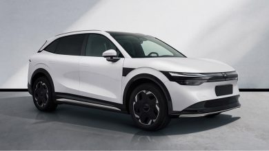 جیلی زیکر 7X