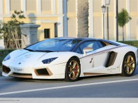 Gold Plated Lamborghini Aventador