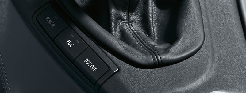 BMW Dynamic Stability Control DSC